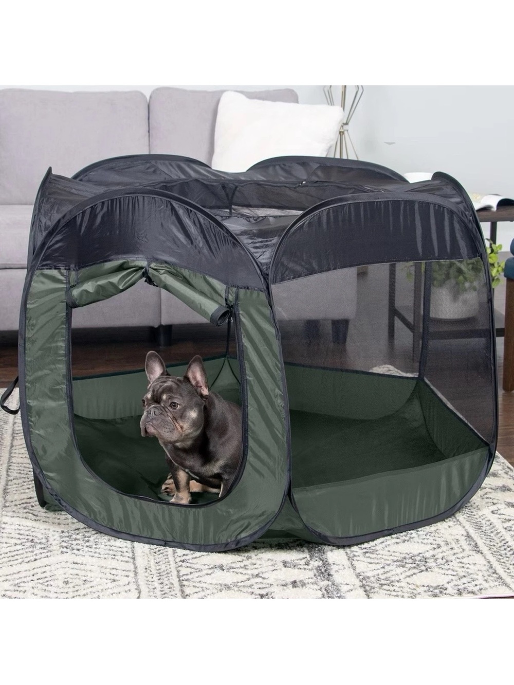 Large Pop-Up Pet Playpen — Forest Green & Black